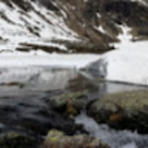 Meet your Posher, Jen